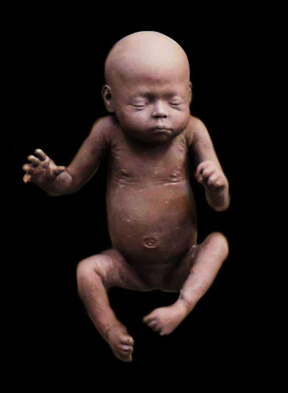 Silicone infant prop for Noah