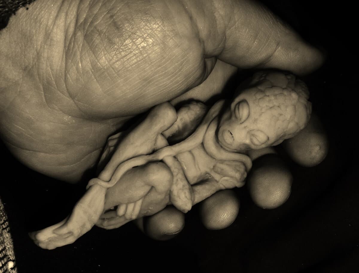 Hands study. Anatomy first, everything else after.