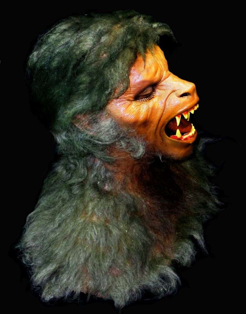 Life-size werewolf bust with bared fangs and dark fur